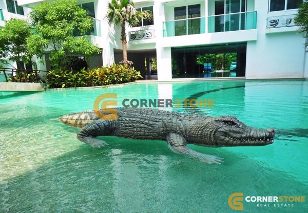 Picture of คอนโด 1 ห้องนอน ในโครงการ Amazon Residence ตั้งอยู่ที่ หาดจอมเทียน