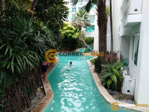 Picture of 1 Bedroom Condo in Amazon Residence Jomtien Beach