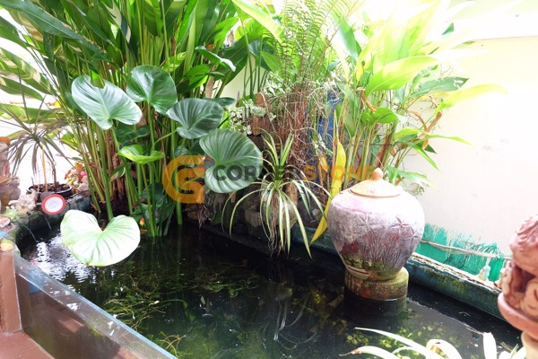 Picture of บ้าน 2 ห้องนอน ในโครงการ Green Field Villa 1 ตั้งอยู่ที่ พัทยาตะวันออก