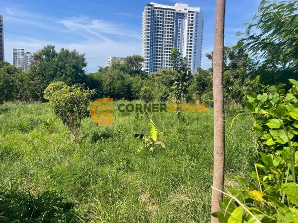 Picture of 400 sqw Land Plot in Pratumnak