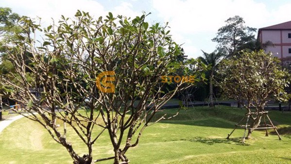 Picture of คอนโด 1 ห้องนอน ในโครงการ Unixx South Pattaya ตั้งอยู่ที่ พัทยา