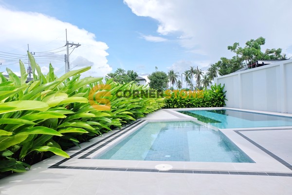 Picture of Tropical Village 3