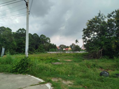 Picture of 1,165 wah² Land Plot in Huay Yai