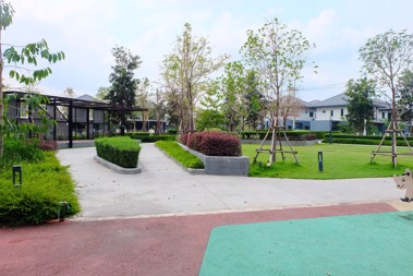 Picture of Patta Define