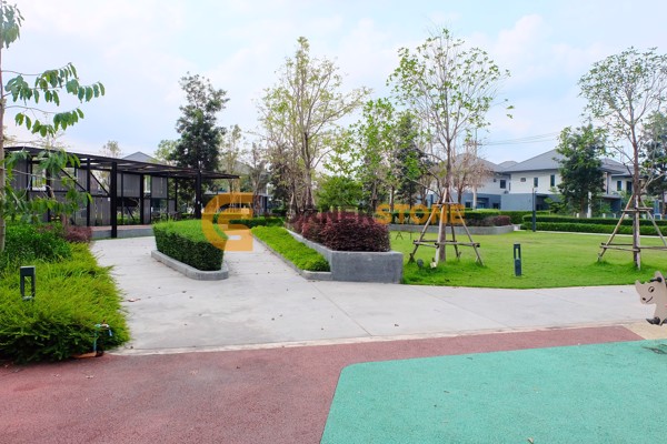 Picture of Patta Define