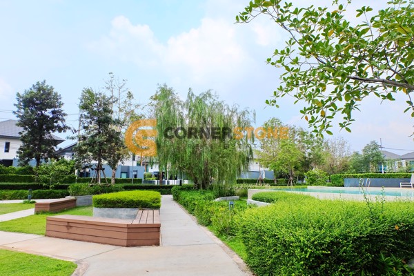 Picture of Patta Define