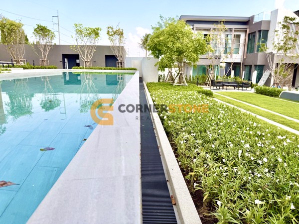 Picture of Pyche Pattaya