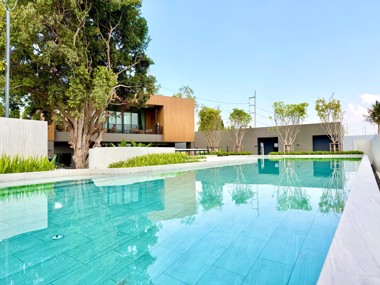 Picture of Pyche Pattaya