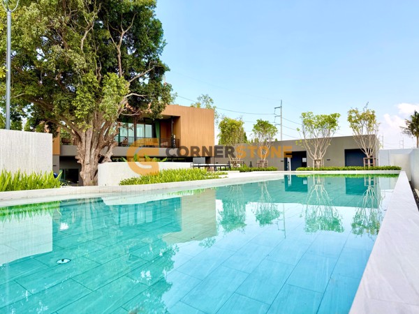 Picture of Pyche Pattaya