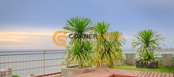 Picture of The Cloud