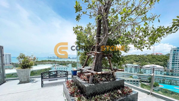 Picture of The Cloud