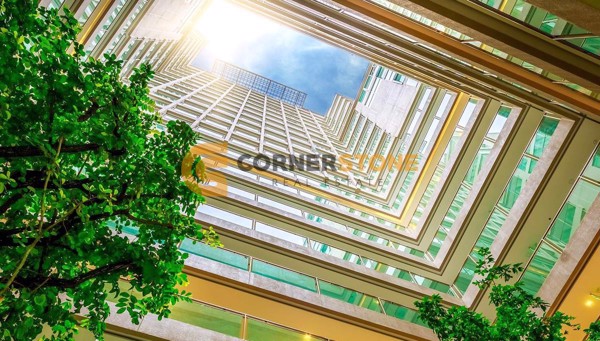 Picture of The Cloud