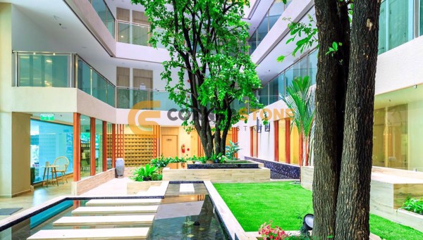 Picture of The Cloud