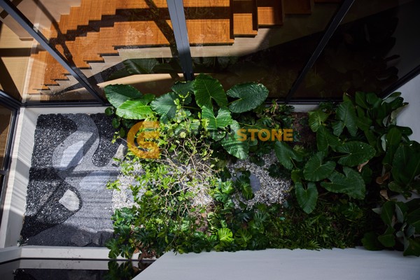 Picture of บ้าน 4 ห้องนอน ในโครงการ Wisdom First Residences ตั้งอยู่ที่ พัทยาตะวันออก