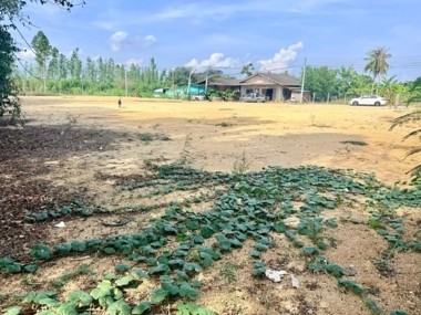 Picture of 147 sqw Land Plot in Huay Yai