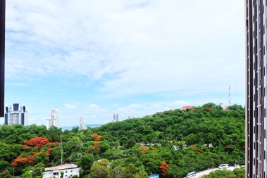 Picture of 1 Bedroom Condo in Unixx South Pattaya Pattaya