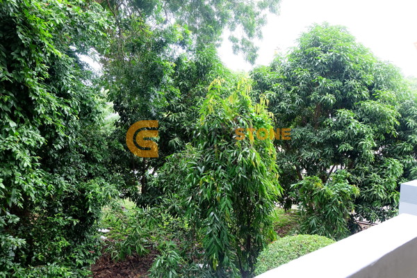 Picture of Studio Condo in Beach and Mountain Condominium Bang Saray Bang Saray